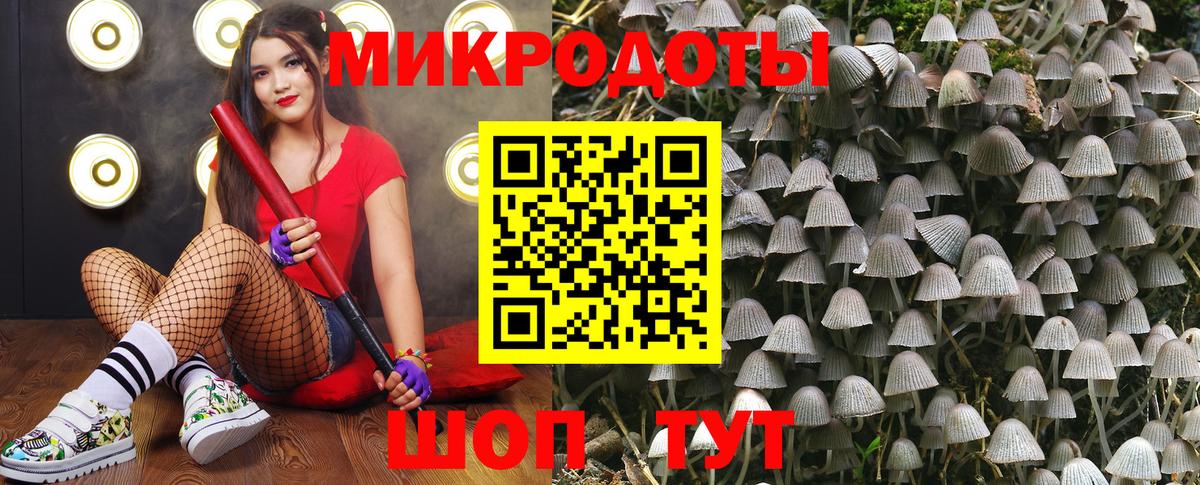 Кострома  Псилоцибиновые грибы мицелий  Вход с VPN 