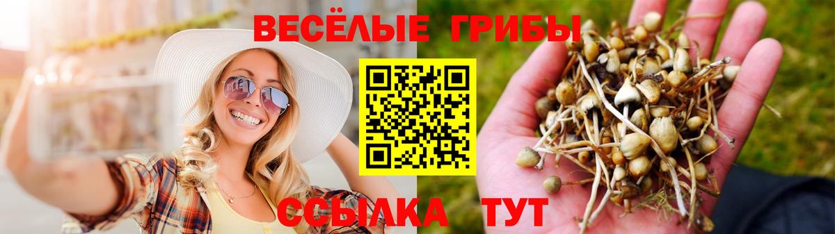 Галлюциногенные грибы ЛСД Кострома